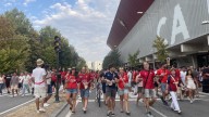 Sheep, soldiers, and grains: Studying the physics of crowds