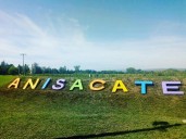 Anisacate: la Policía asistió a una mujer de 25 años y rescató un perro que habría sufrido maltrato