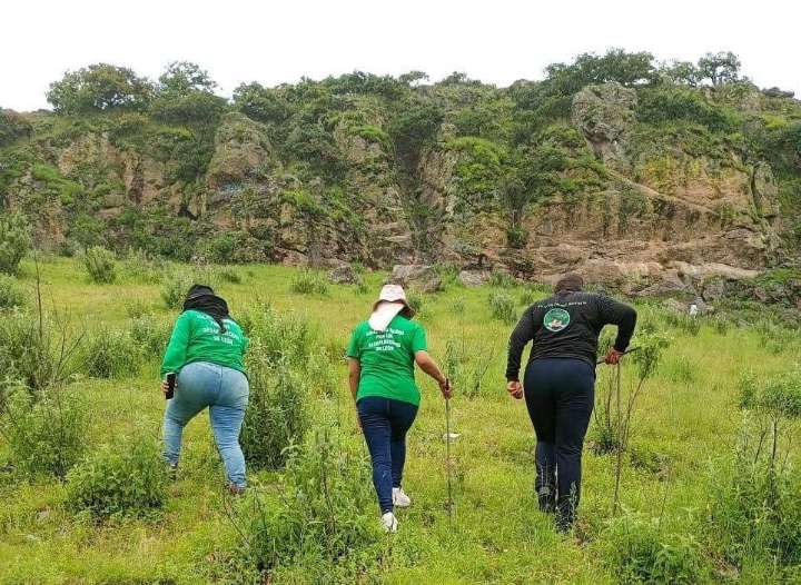 Colectivo de León localiza a 16 personas sin vida en lo que va del año