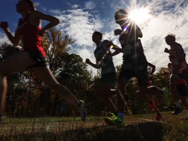 Which area boys cross country runners qualified for 2025 OHSAA finals?