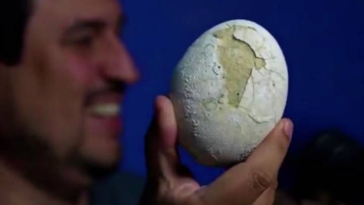 Descubren un huevo de dinosaurio carnívoro en la Patagonia