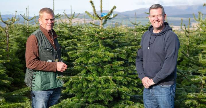 Dobbies Livingston donates Christmas trees to local community