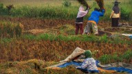Centre Eases ‘Per Drop More Crop’ Rules, Gives States More Power to Design Water Projects