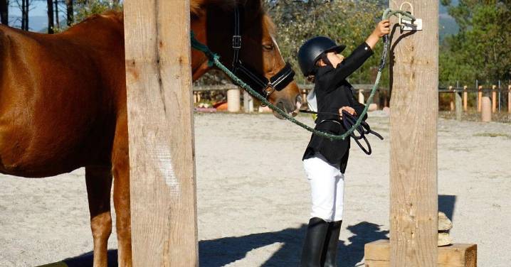 Galería | Cartelle disfruta del Trail Trabajo de Equitación