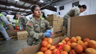 California, 20 other states sue Trump over refusal to fund SNAP benefits