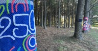Unique display at Jacobson Park helps celebrate Tree Week