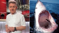 Gordon Ramsay recounts close call with great white shark in Tasmania