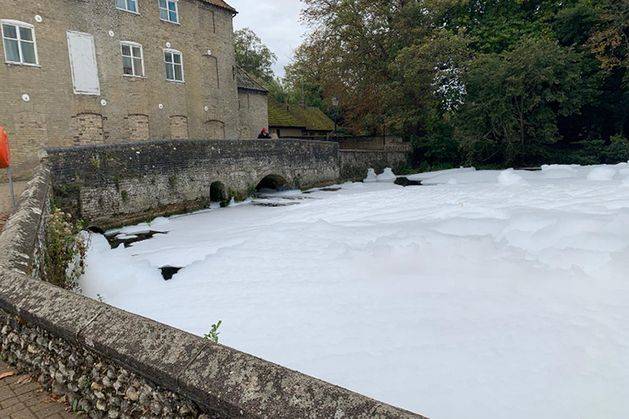 Environment Agency investigating after fish die in foam layer on river Thet