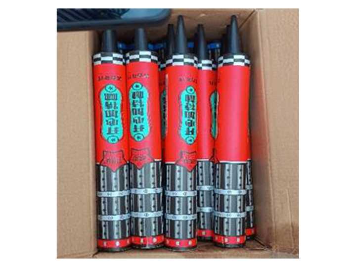 DRI foils smuggling of Chinese firecrackers worth Rs 5.01 crore