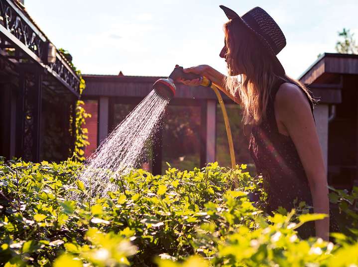 Why San Diego yards deserve more than just sprinklers and sunshine