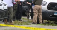 Arrest warrant links Cheshire animal cruelty case to Old Lyme investigation