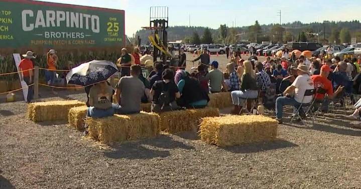 Carpinito Brothers Pumpkin Patch hosts annual weigh