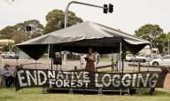 Link Road Forest