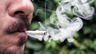 Florida court says police can't search cars for marijuana smell