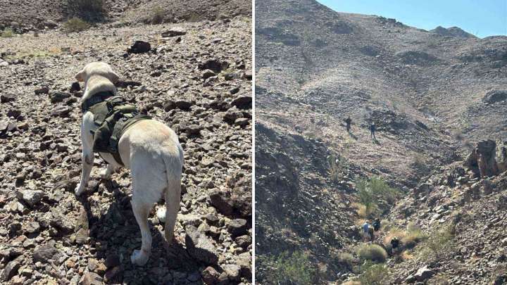 Hallan Restos Humanos en Sierra Cucapá de Mexicali con Apoyo de Perro Rastreador