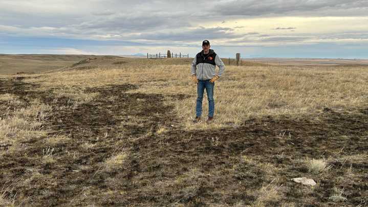 Rural Montana neighbors who saved my grass Lisa Schmidt