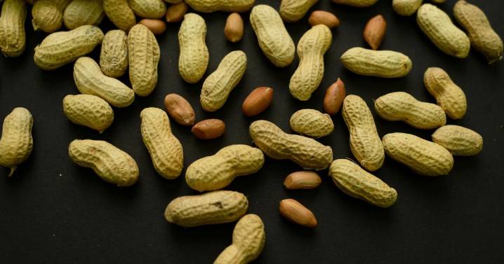 Advice to feed babies peanuts early and often helped 60,000 kids avoid allergies, study finds