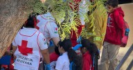 Se intoxican más de 150 niños por alimentos en mal estado