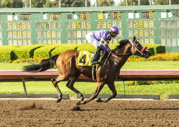 Man O Rose noses out Lovesick Blues at Santa Anita