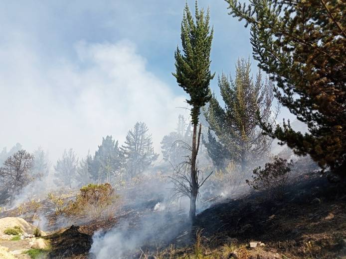 CAR advierte sobre riesgo de incendios forestales y pide evitar quemas en Cundinamarca