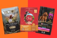 How to choose the right food for your dog, per veterinarians