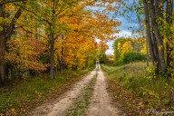 Little Traverse Conservancy invites farmers to protect land through conservation easements