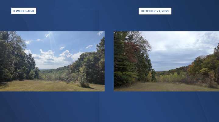 Brown County nears peak fall color, drawing crowds to park and Nashville