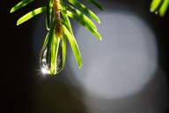 Mass. weather: Sunny weekend gives way to rain, winds starting Sunday night