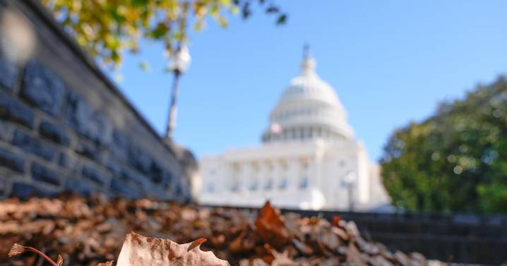 Opinion: You can't end the shutdown, but you can affect local change