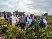 PSOE tacha de "miseria" las ayudas por mildiu en Huelva porque "no compensan las pérdidas" y piden "soluciones ya"