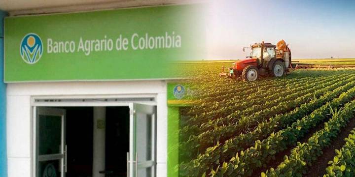 Banco Agrario realizará ‘Brigada de Créditos para la Economía Popular’ en Santa Marta