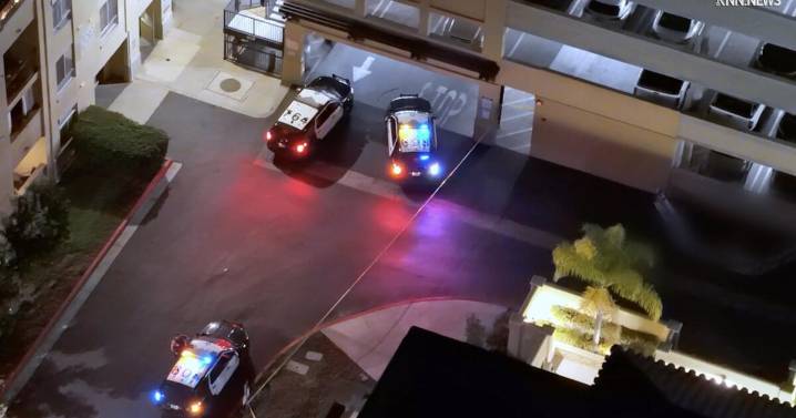 Mitt Romney's sister-in-law dead after possible fall or jump from parking structure, authorities say
