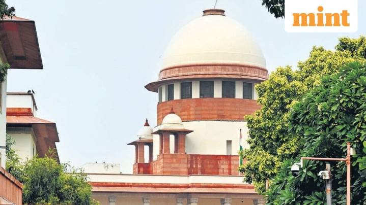 ‘Why are you in India?': SC pulls up Israeli man in Goa