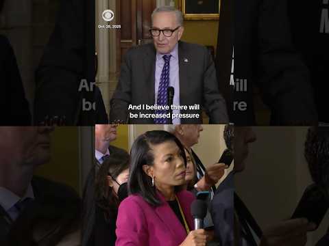 Chuck Schumer says Democrats will introduce a bill to fund SNAP #shorts