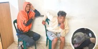 Sujeto que agredió a perrita en el Callao fue tenido por la Policía