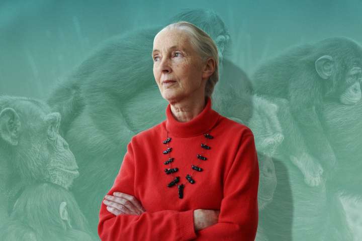 How Jane Goodall inspired a generation of girls.