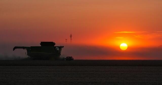 Trump plans aid package for US soybean farmers while seeking trade deal with China
