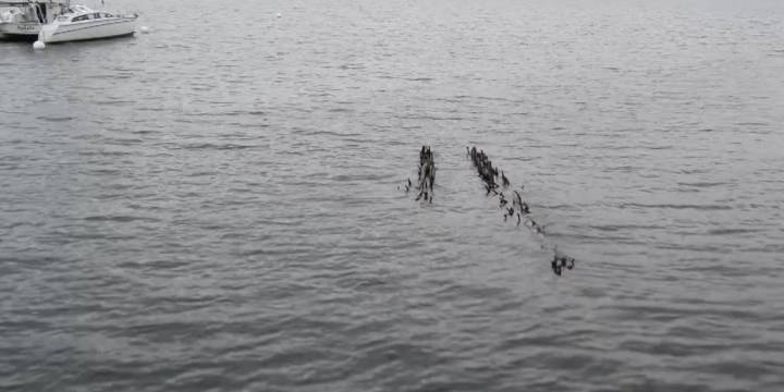 Low water levels expose old ruins in Lake Champlain
