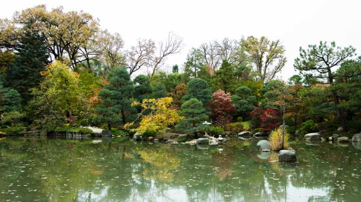 Illinois' Most Beautiful Garden Is A Japanese-Inspired Meditative Oasis