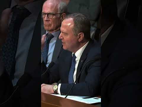'Clearly you’re a failed lawyer': Bondi lashes out at Dems during rowdy hearing #shorts