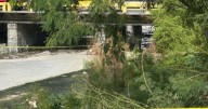 Macabro hallazgo en Nuevo León: localizan cabeza humana en Monterrey