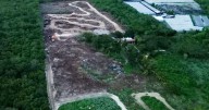 Clausuran pista recreativa en Chicxulub Pueblo, Yucatán, por destruir más de 4 hectáreas de selva