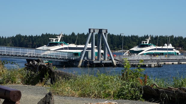 Hullo Ferries vessel struck humpback near Vancouver: DFO