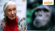 Jane Goodall, the celebrated primatologist and conservationist dies