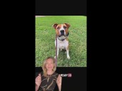This week's good news in 60 seconds