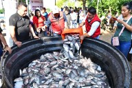 Éxito en la primera cosecha de Pescando Vida: Desarrollo y producción en Jonuta