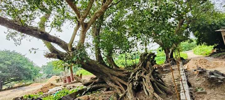 This day that year: Victims of 1999 super cyclone revisit fateful day