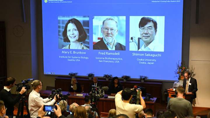 Nobel de Medicina: "La expectativa es mejorar el manejo de las enfermedades autoinmunes"