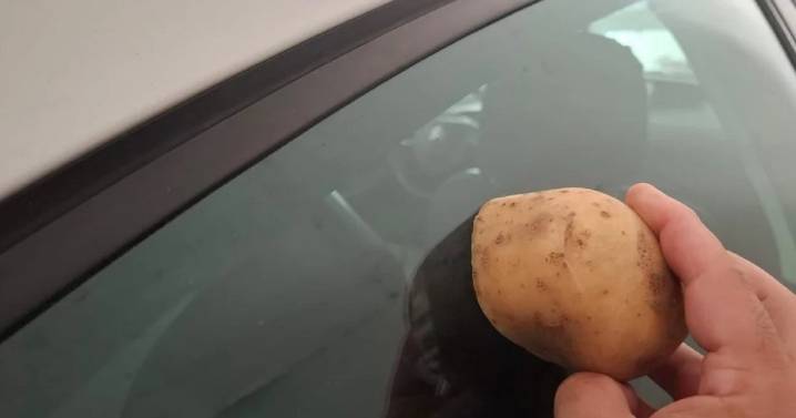 Cómo dejar relucientes los vidrios del auto con el truco de la papa