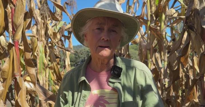 Sonoma County farmers in danger of losing their farm partner with Oakland chef
